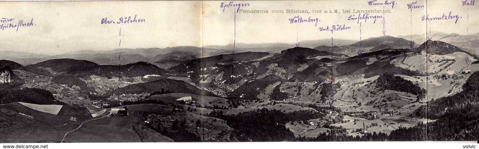 SUISSE - Panorama Vom Bölchen , Bei Langenbruck - Format 3 CPA - Langenbruck