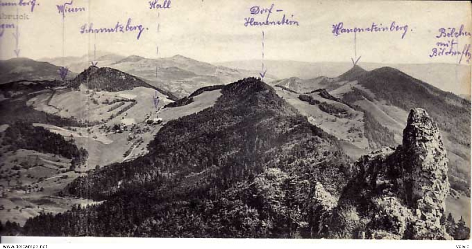 SUISSE - Panorama Vom Bölchen , Bei Langenbruck - Format 3 CPA - Langenbruck