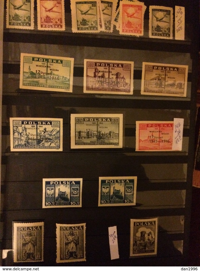 POLAND POLSKA RARE MNH**  COLLECTION !!!!!!! 1919-1960