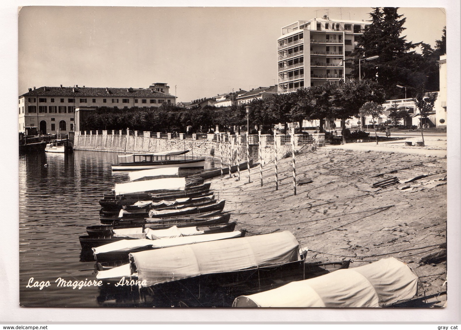 Lago Maggiore, Arona, Used Real Photo, Vera Fotografia Postcard [22986] - Altri & Non Classificati