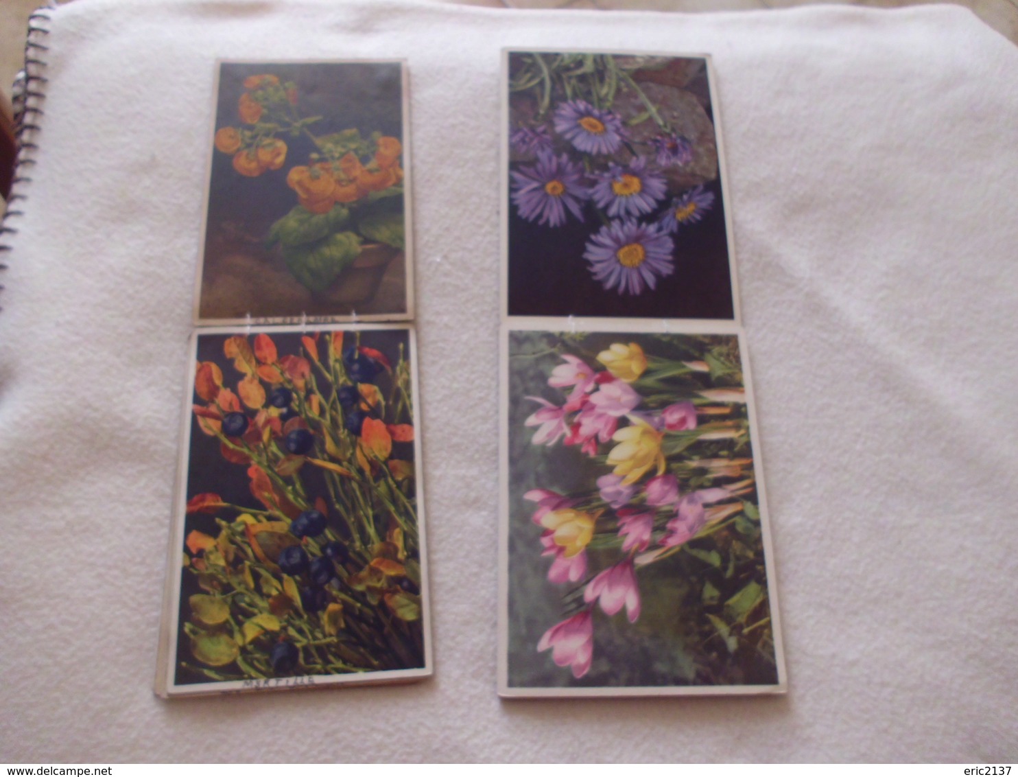 LOT DE 25 CARTES ..FLEURS (2 Carnets De 10 Recto Verso Et 5 Solo)...qq Defauts - 5 - 99 Cartoline