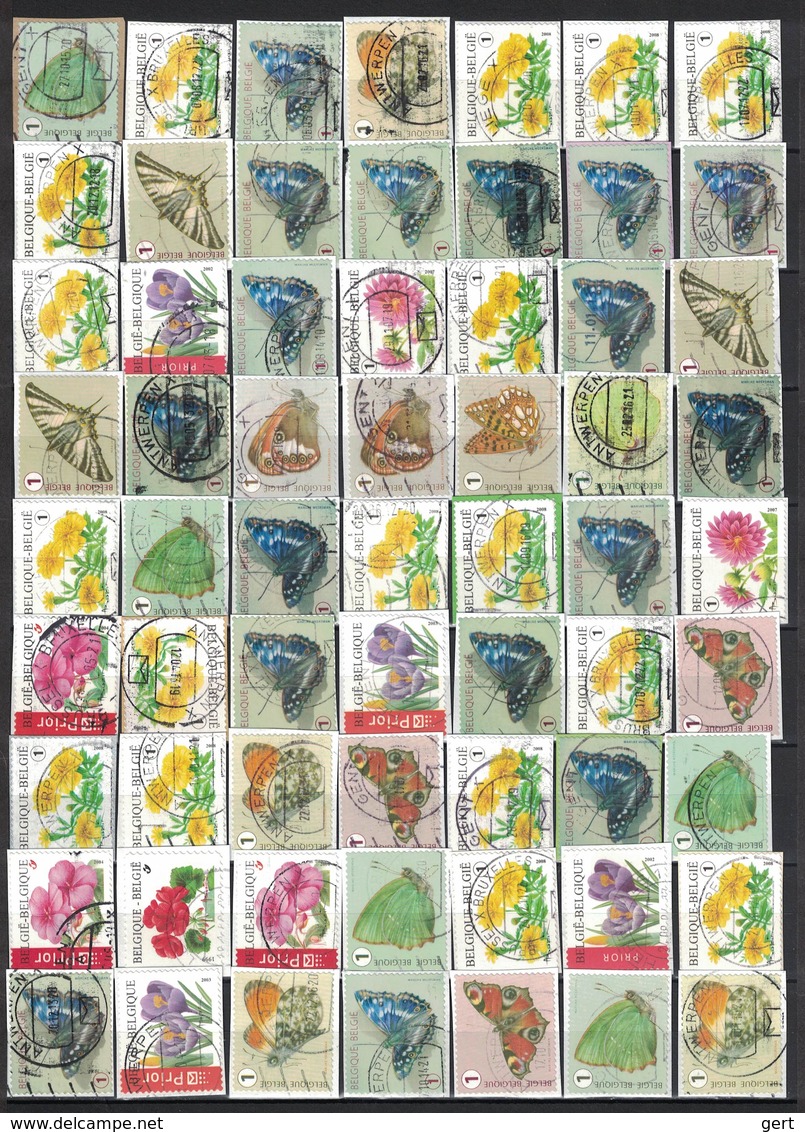 Lotje 81 Rolzegels - 81 Timbres Rouleaux Gestempeld / Oblitéré - Rollen