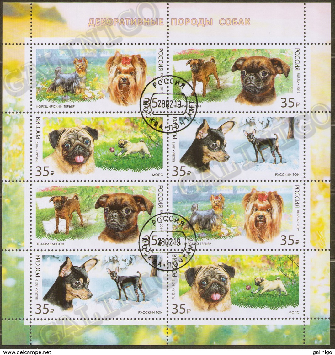2019-2448-2451 M/S Russia Decorative-room Dogs:Russian Toy,pti-brabanson,pug,Yorkshire Terrier.Mi 2665-2668 Used CTO - Oblitérés