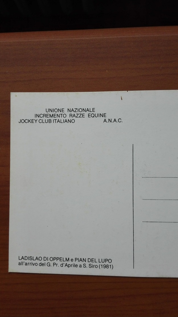 Ladislao Di Oppelm E Pian Del Lupo All'arrivo Del G.Pr. D'Aprile A S.Siro 1981 - Hippisme