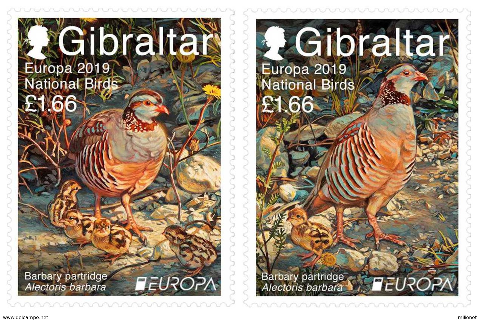 SALE!!! GIBRALTAR 2019 EUROPA NATIONAL BIRDS 2 Stamps MNH ** - 2019