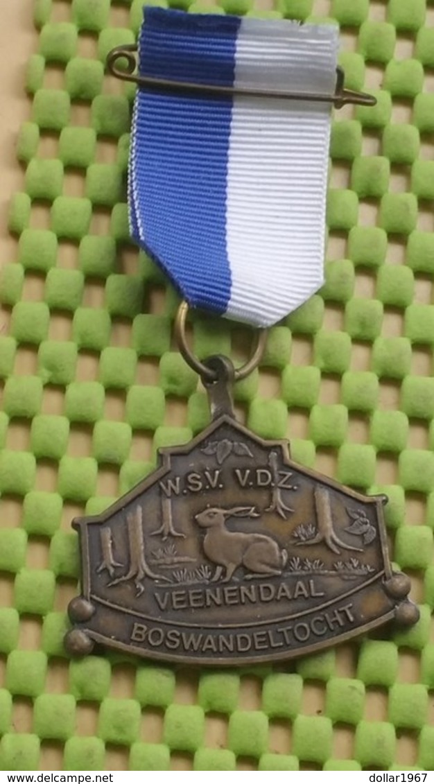 Medaille / Medal - Medaille - Wandelvereniging V.D.Z Veenendaal / Hiking Club V.D.Z Veenendaal - The Netherlands - Autres & Non Classés