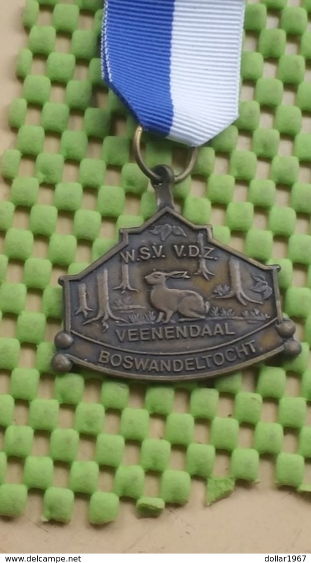 Medaille / Medal - Medaille - Wandelvereniging V.D.Z Veenendaal / Hiking Club V.D.Z Veenendaal - The Netherlands - Autres & Non Classés