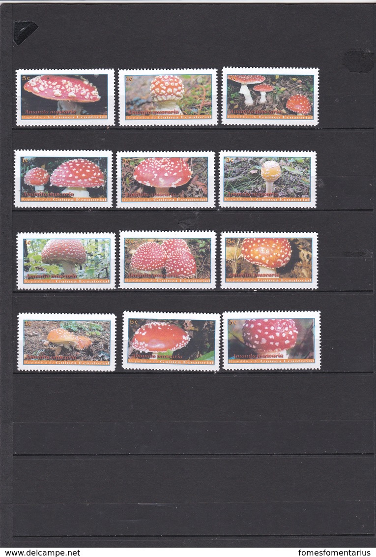 18 Timbres Ou Vignettes Neufs Champignon Amanite Tue Mouche Mushroom Cogumelo  Setas Champignons Pilze - Pilze