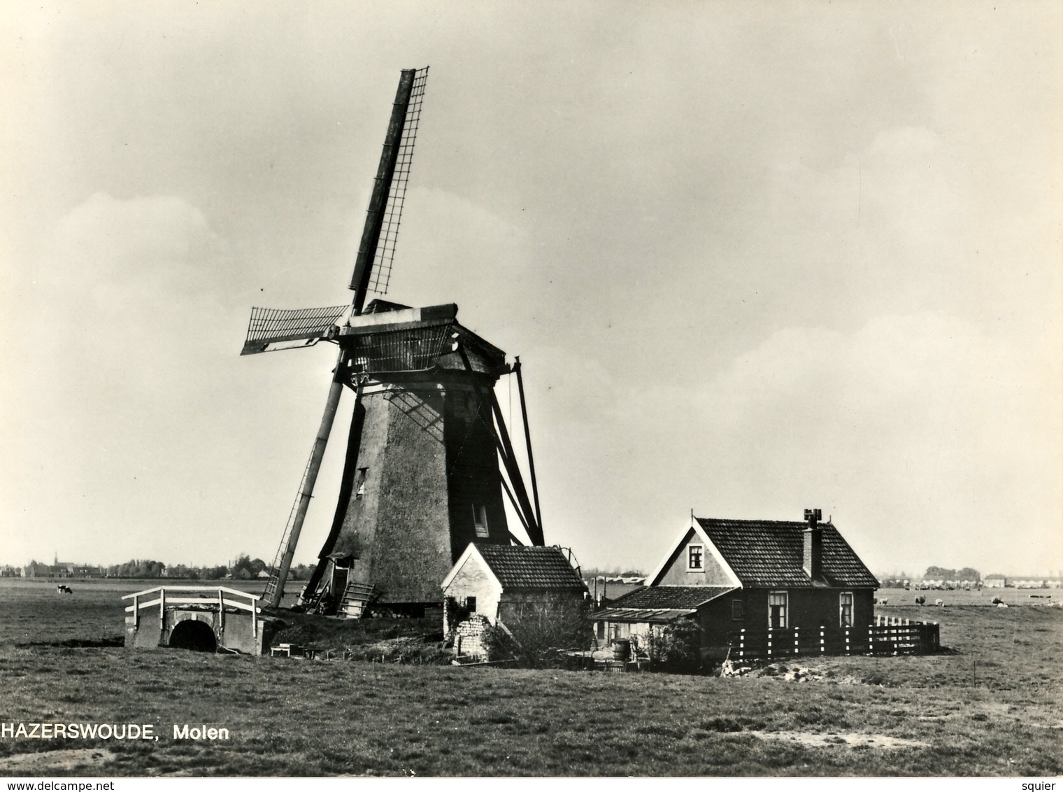 Hazerswoude, Alphen, Poldermolen, Windmill, Real Photo, - Mulini Ad Acqua