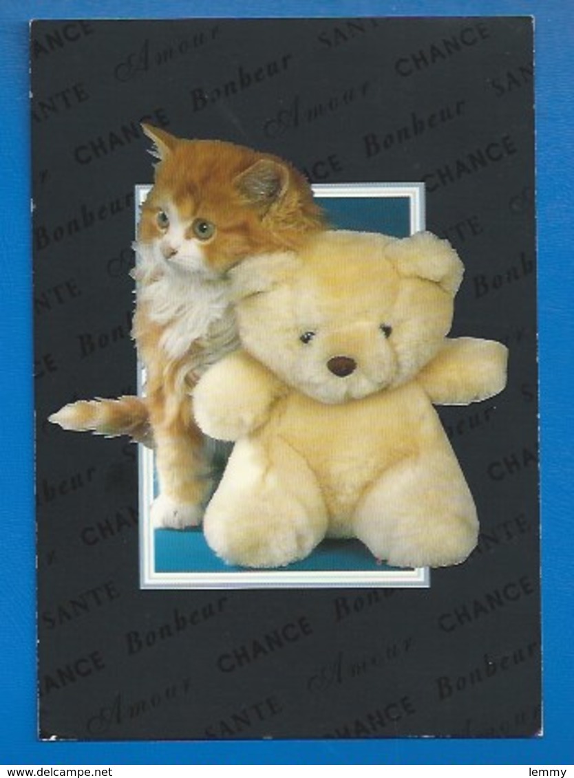 OURS EN PELUCHE - OURSONS - NOUNOURS - ET CHAT -  CHANCE AMOUR SANTÉ... 10.5 X 15 - 1997 - Ours