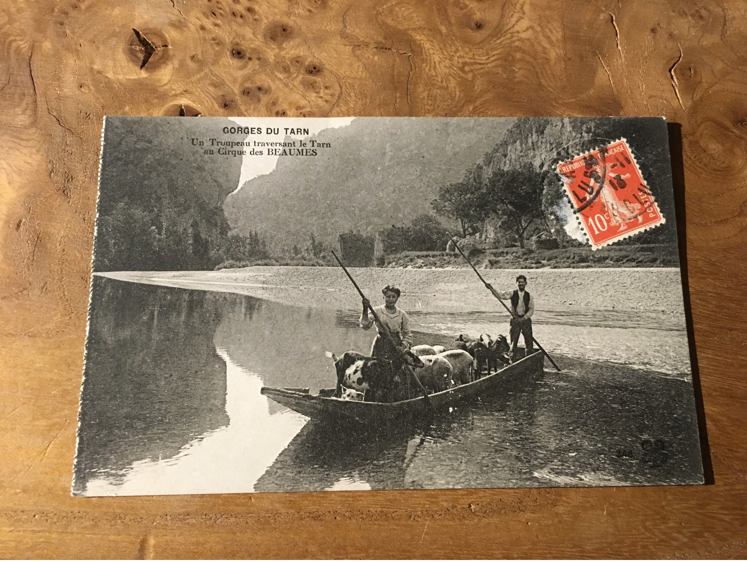 280/  GORGES DU TARN UN TROUPEAU TRAVERSANT LE TARN AU CIRQUE DES BEAUMES - Autres & Non Classés