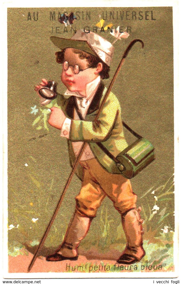 Figurina, Chromo, Victorian Trade Card. Il Botanico. Le Botanique. Testu Massin 14-3/1. Fond Doré. Fondo Dorato. - Sonstige & Ohne Zuordnung