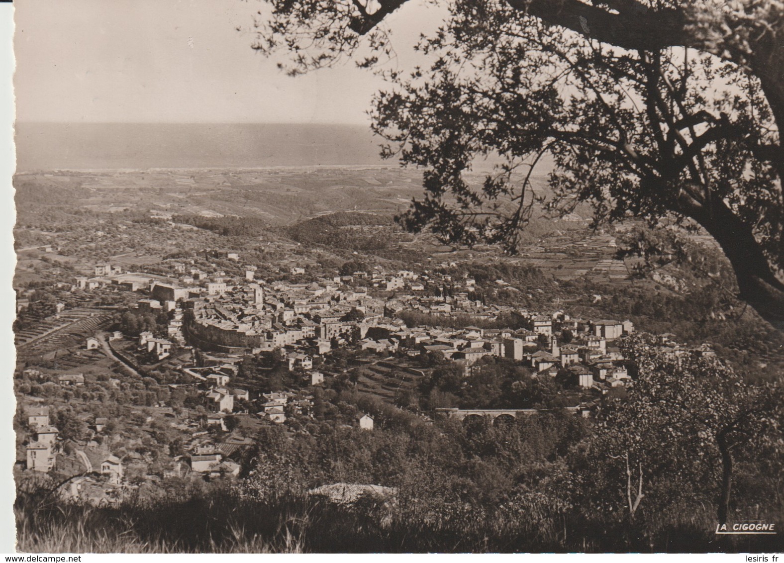 C. P. - PHOTO - VENCE - VUE PANORAMIQUE VERS SAINT LAURENT DU VAR - 03.157.08 - LA CIGOGNE - Vence