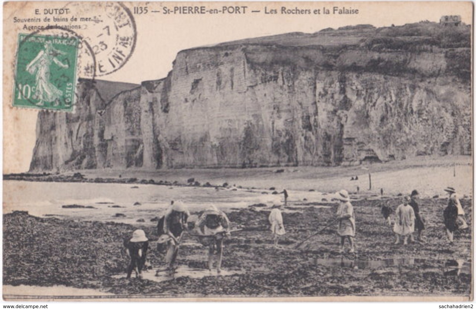 76. ST-PIERRE-EN-PORT. Les Rochers Et La Falaise. 1135 - Autres & Non Classés