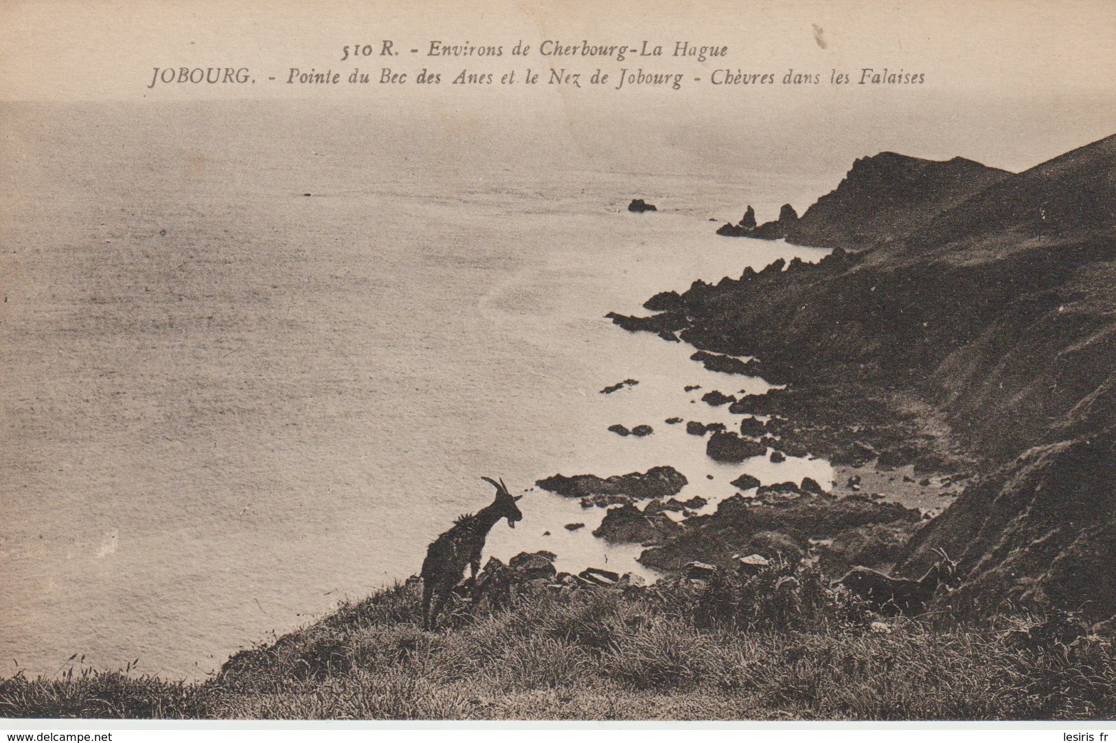 C P A - ENVIRONS DE CHERBOURG LA HAGUE - JOBOURG - POINTE DU BEC DES ANES ET LE NEZ DE JOBOURG - CHÈVRES DANS LES FALAIS - Otros & Sin Clasificación