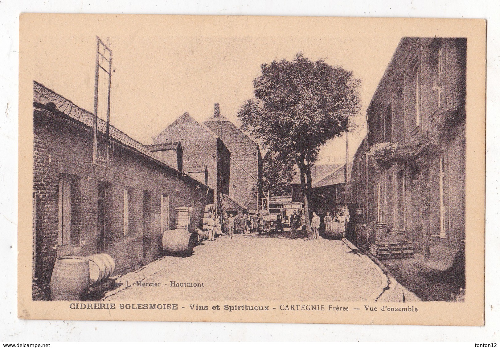 Carte Postale  CIDRERIE Solemoise Cartegnie Frere - Autres & Non Classés