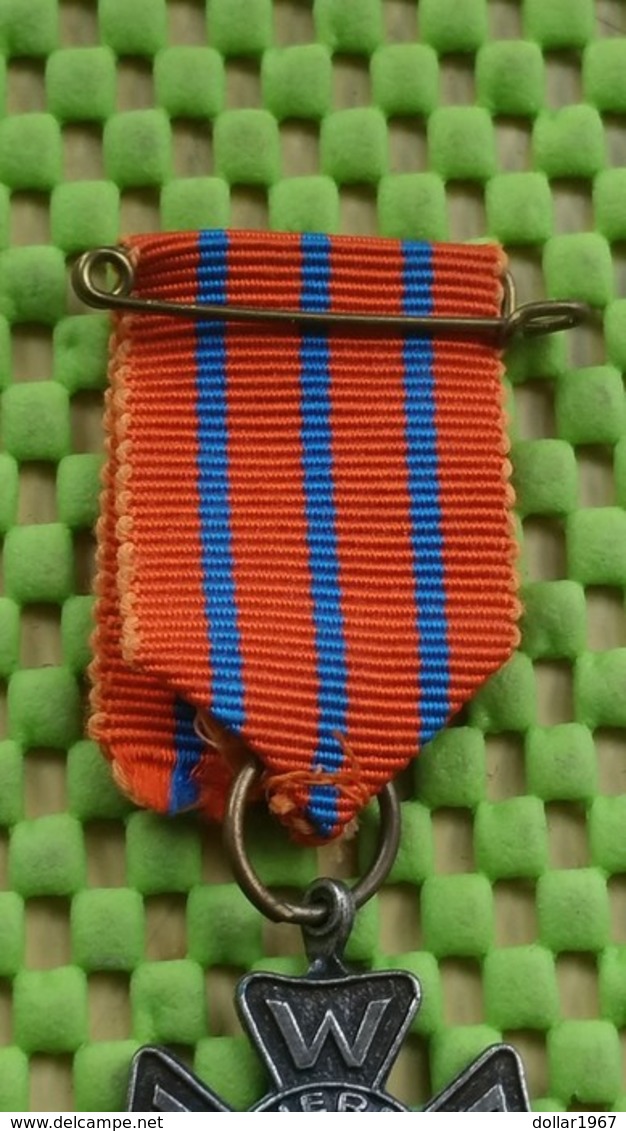 Medaille / Medal - Medaille - Avondvierdaagse N.W.B - (2) - The Netherlands - Andere & Zonder Classificatie