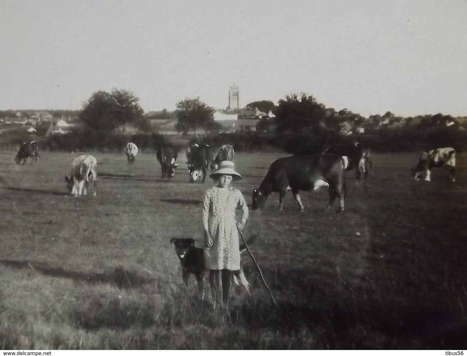 LA FERTE SAINT AUBIN GARDEUSE DE VACHES AVEC SON CHIEN EGLISE AU FOND - La Ferte Saint Aubin