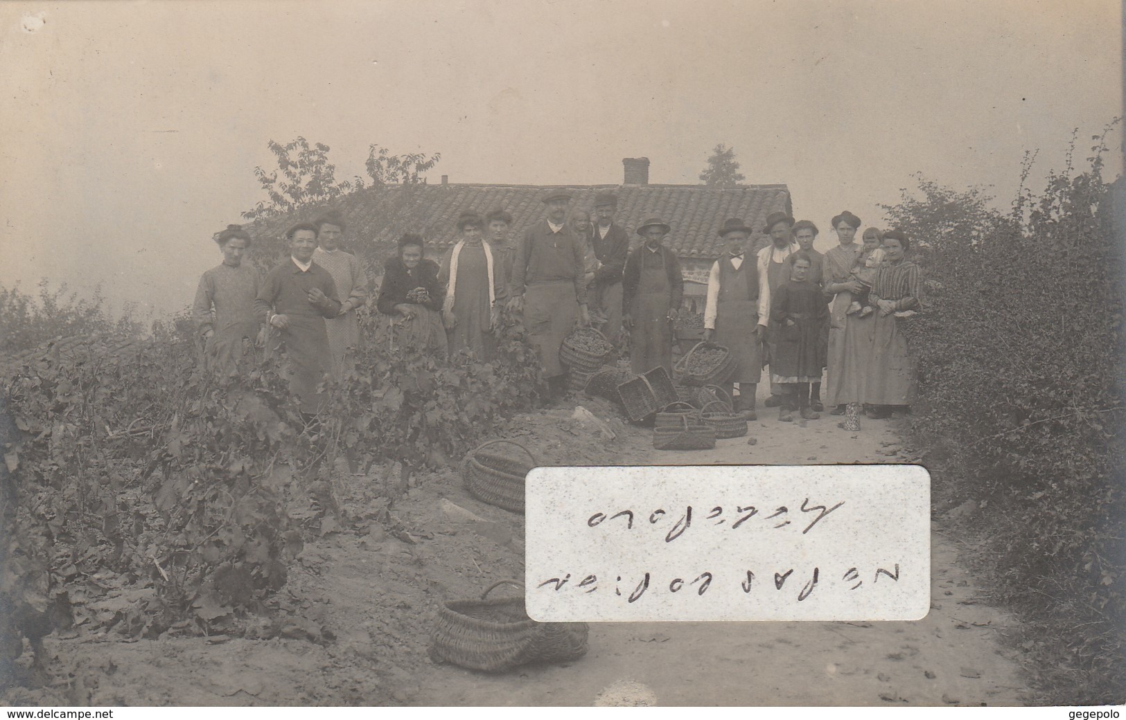 RULLY  - La Pause Avant Les Vendanges D'Octobre 1910    ( Carte Photo ) - Other & Unclassified