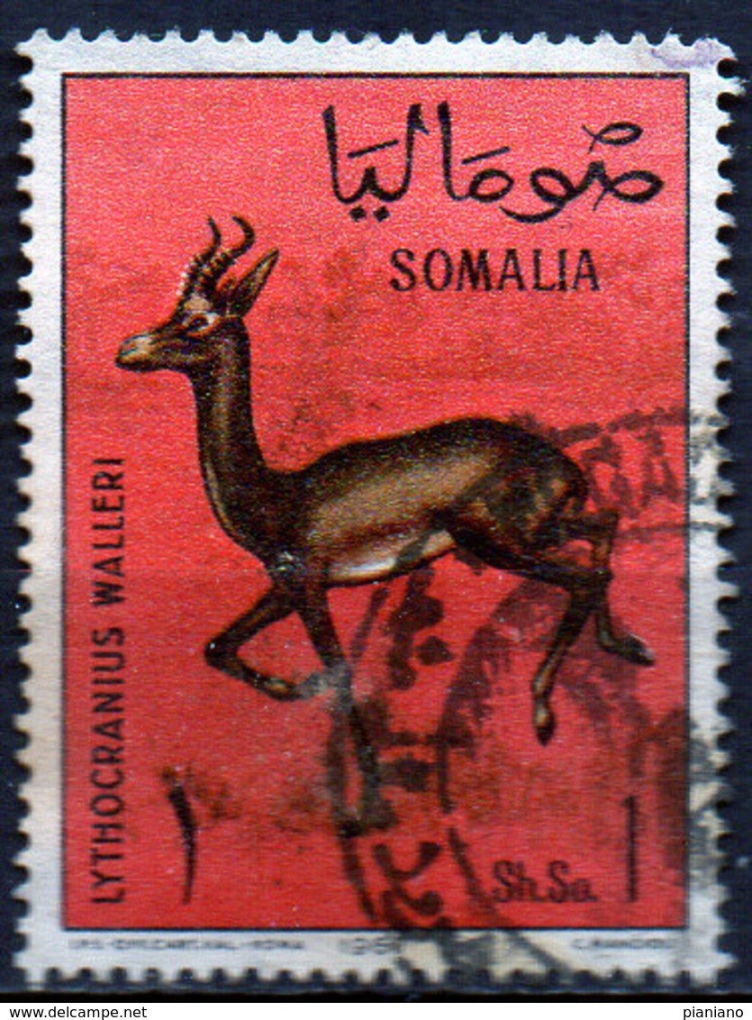 PIA - SOMALIA - 1967: Gazzella : Lithocranius Walleri    - (Yv  64) - Somalie (1960-...)