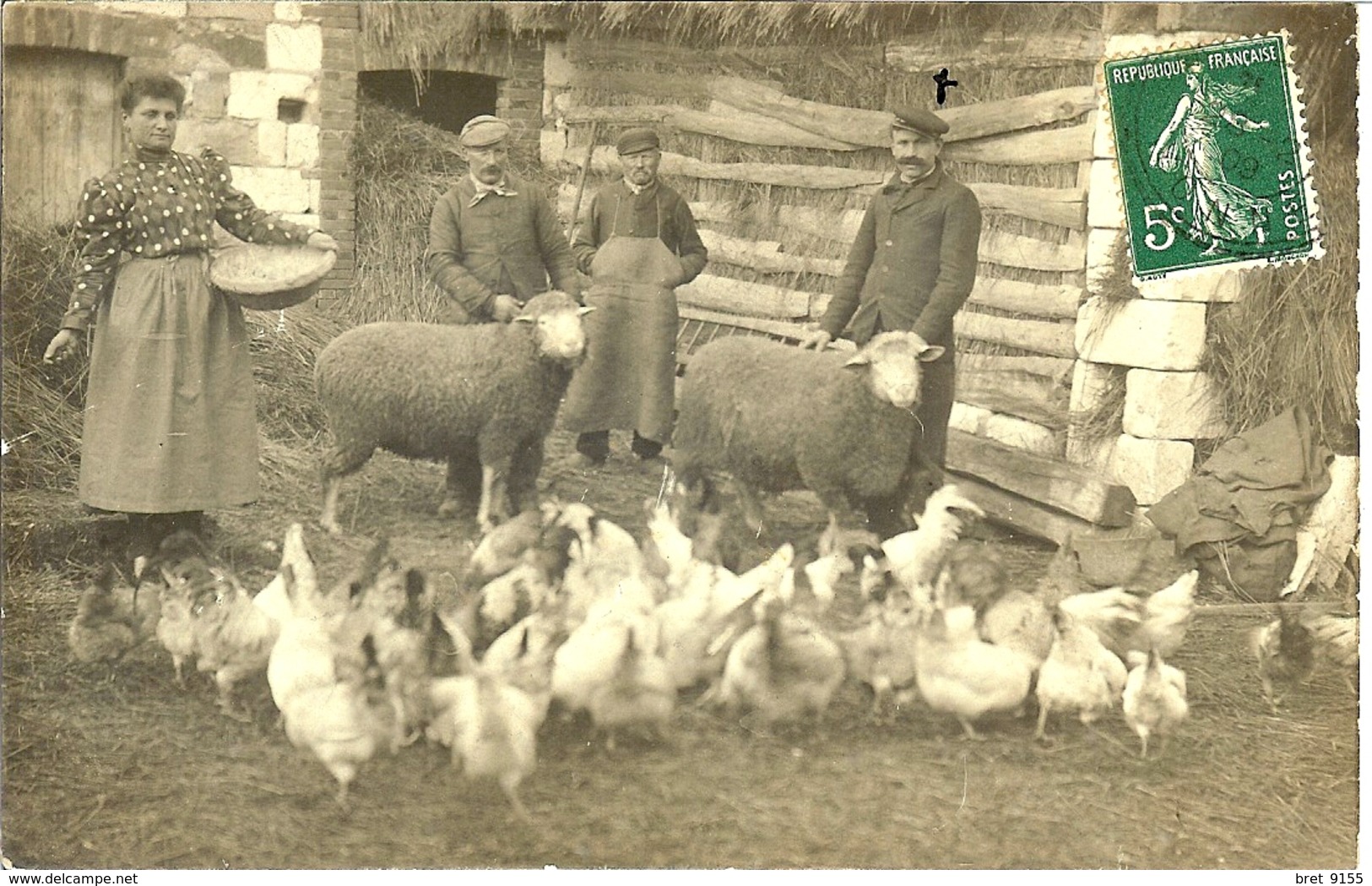 89 PONT SUR YONNE CARTE PHOTO EN 1909 POULES MOUTONS LE FOIN NE MANQUE PAS - Pont Sur Yonne