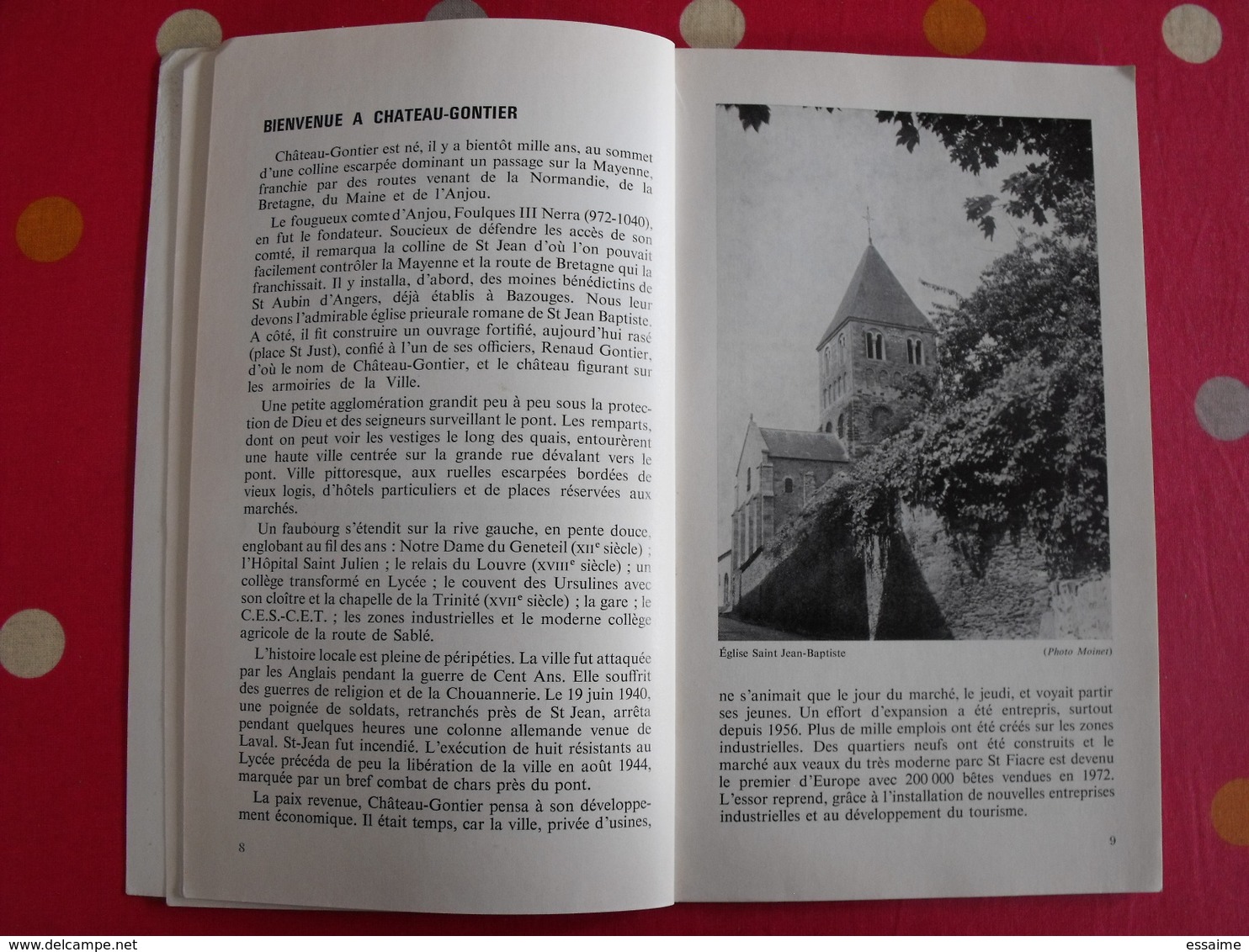 La Mayenne Angevine. Chateau-Gontier Et Sa Région. 1975. Bien Illustré - Pays De Loire