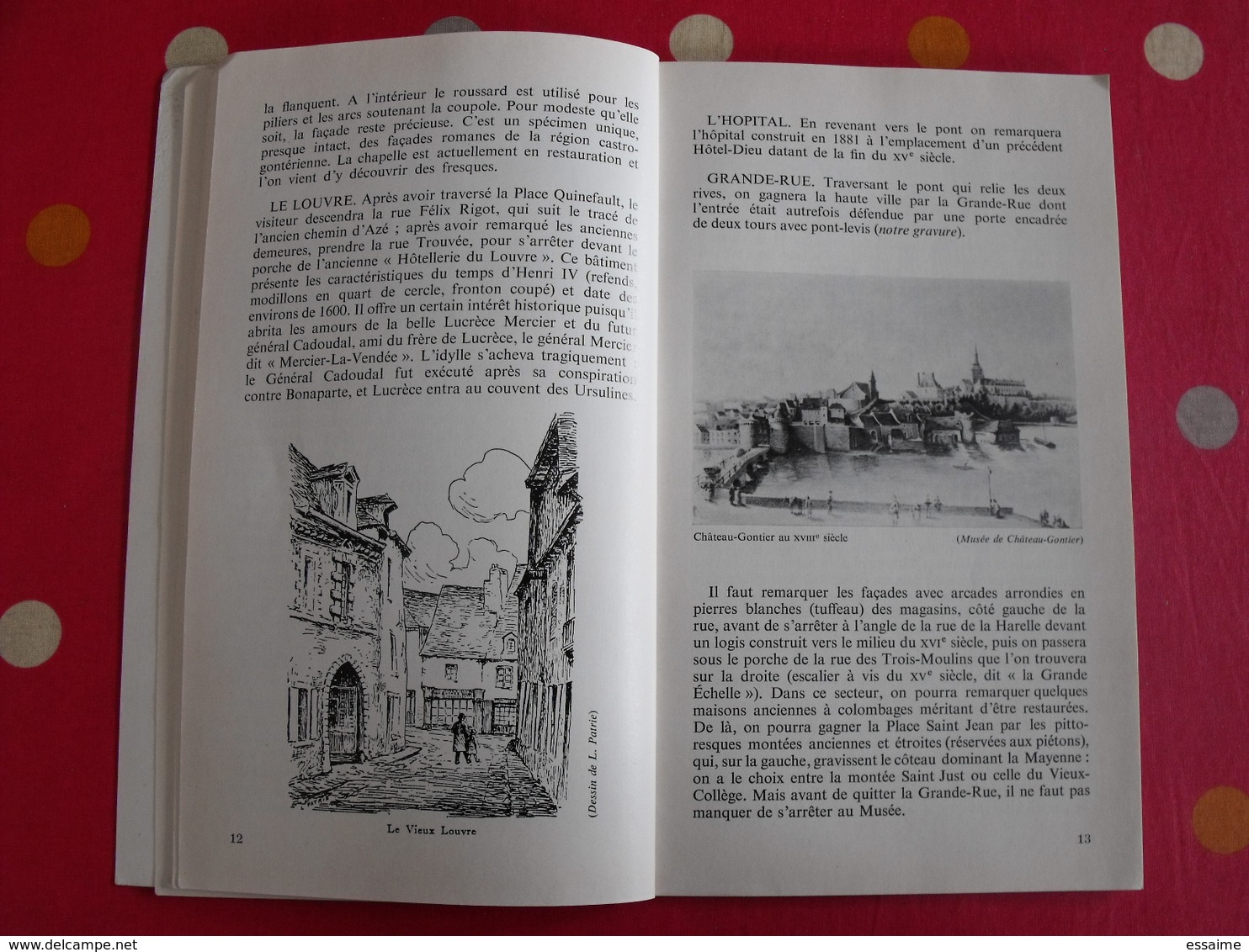 la mayenne angevine. chateau-Gontier et sa région. 1975. bien illustré