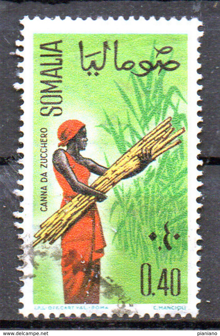 PIA - SOMALIA - 1961: Indigena Che Raccoglie Canne Da Zucchero    - (Yv  13) - Somalie (1960-...)
