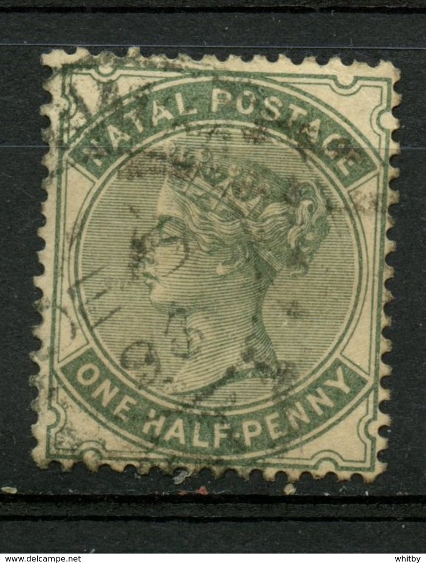 Natal 1882  1/2p Queen Victoria Issue #65 - Natal (1857-1909)