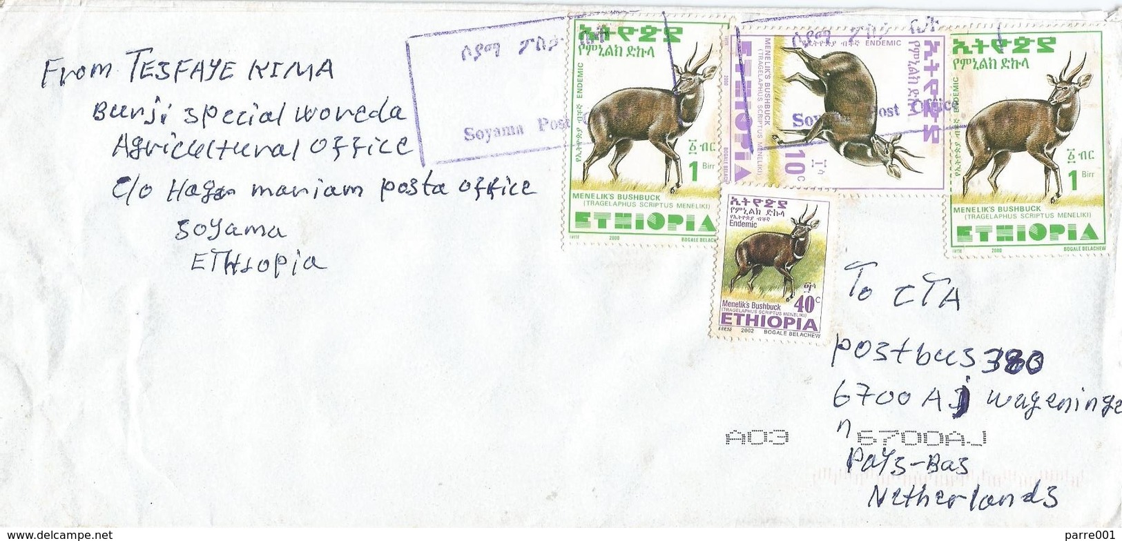 Ethiopia 2008 Soyama Bushbuck Cover - Ethiopië