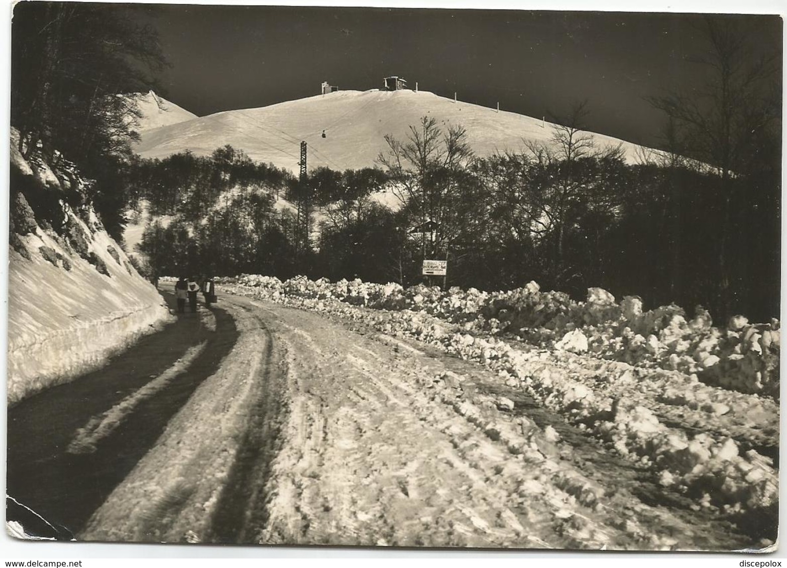 W1591 Terminillo - La Bella Strada Che Conduce Ai Campi Da Sci - Panorama Invernale / Viaggiata 1955 - Altri & Non Classificati