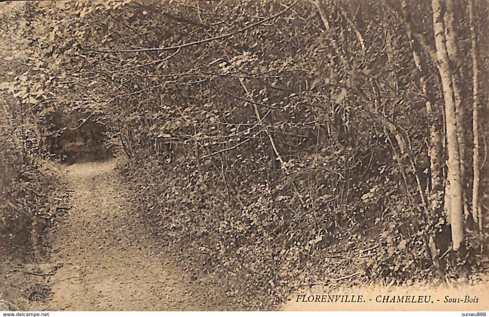 Florenville - Chameleu - Sous-Bois (1923) - Florenville