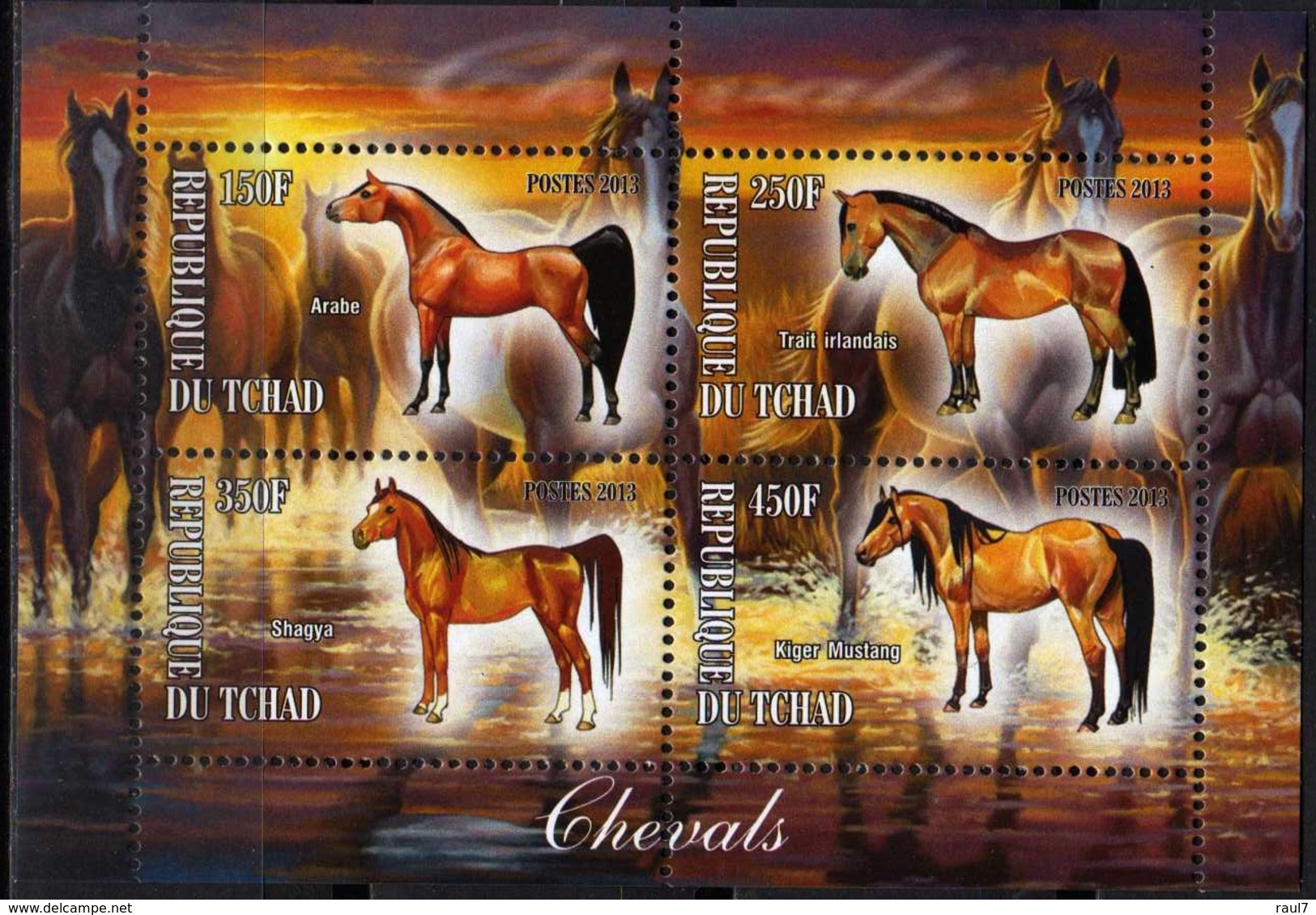 2013 - Chevaux De Race, Arabe, Irlandais, Mustang - BF 4 Val Neufs // Mnh - Horses