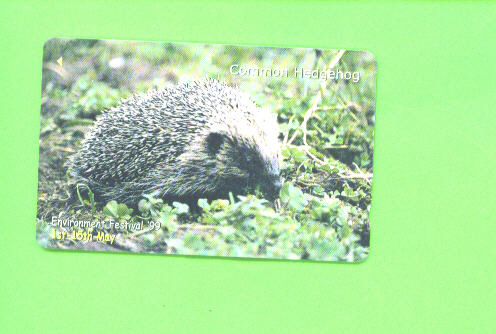 JERSEY - Magnetic Phonecard As Scan/Hedgehog - [ 7] Jersey Und Guernsey