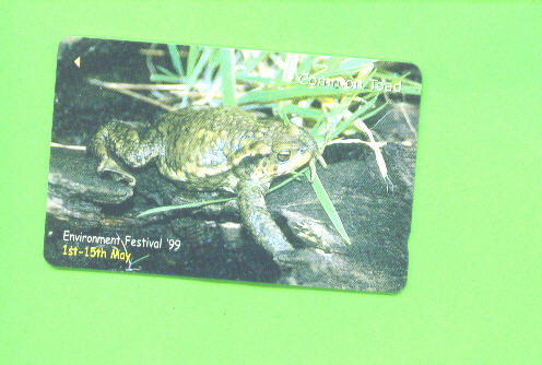 JERSEY - Magnetic Phonecard As Scan/Toad - Jersey E Guernsey