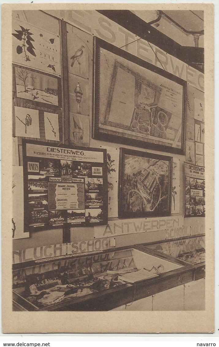 Kalmthout - Calmpthout - Musée Scolaire National Avril 1931 - Exposition Internationale Des Ecoles En Plein Air Diesterw - Kalmthout