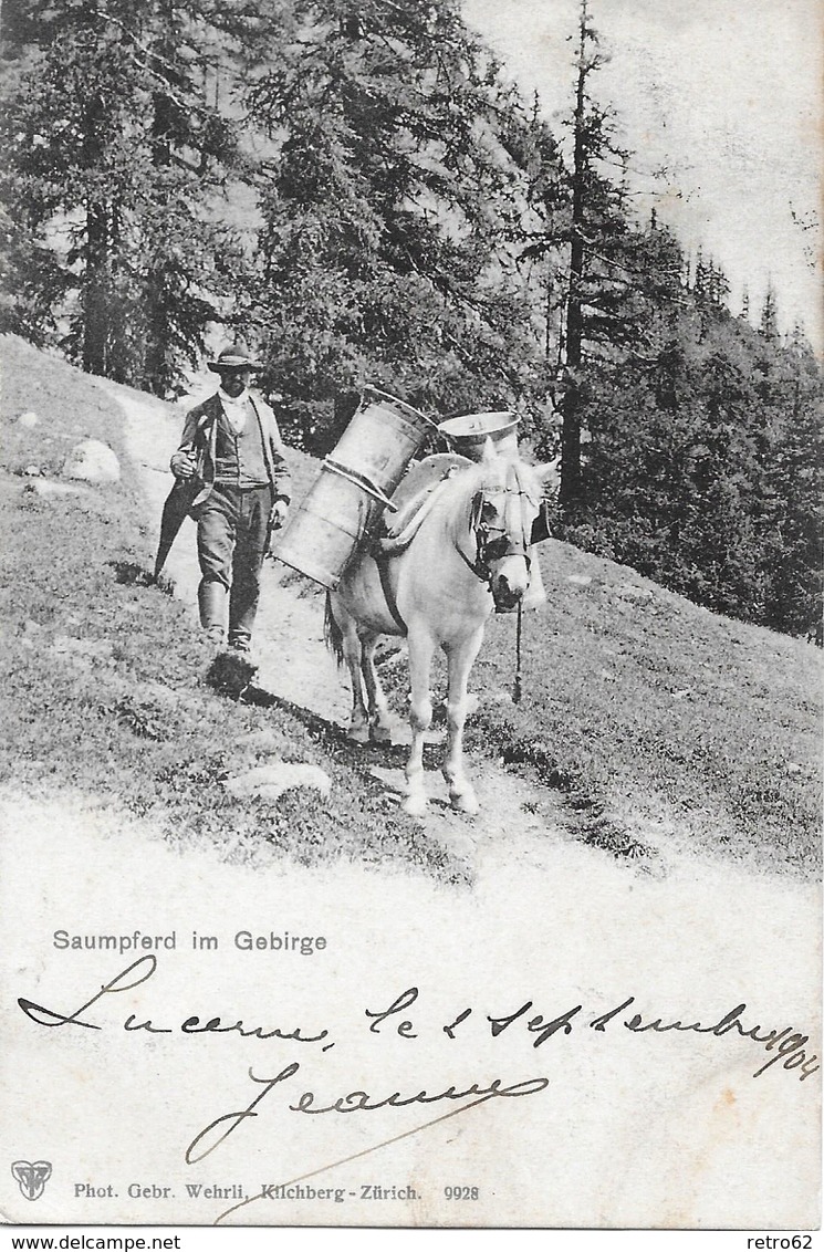 GEBIRGSPOST → Saumpferd Im Gebirge, Ca. 1904 - Autres & Non Classés
