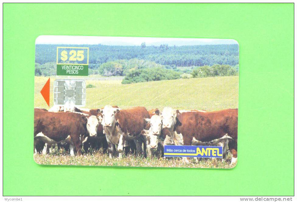 URUGUAY  -  Chip Phonecard As Scan - Altri – Africa