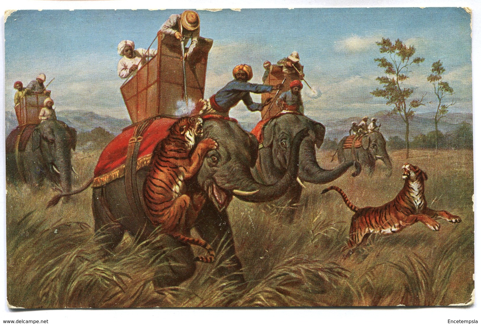 CPA - Carte Postale - Belgique - Fantaisie - Éléphant - Tigre - Savane - 1909 (M7553) - Africa