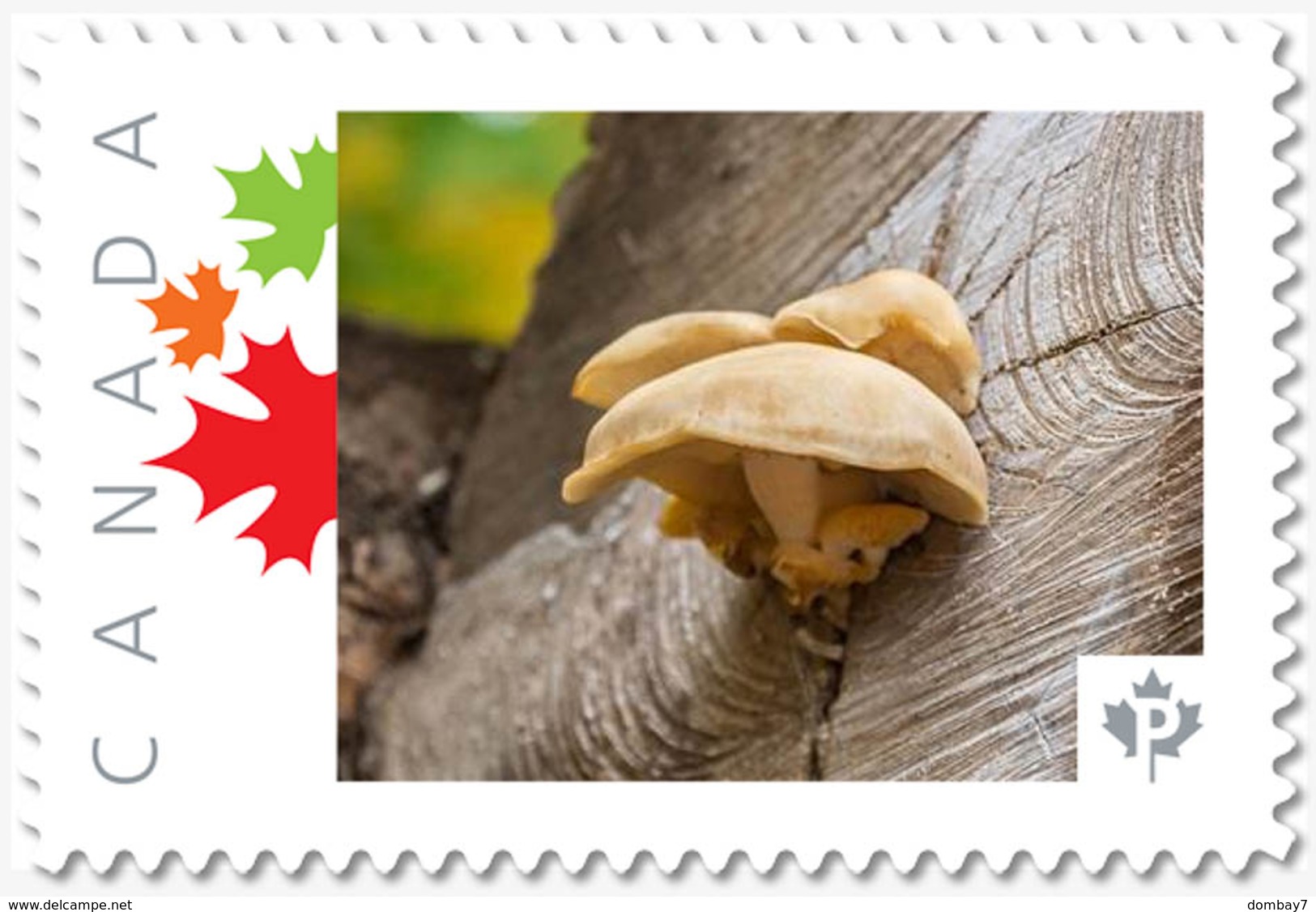 MUSHROOM On LUMBER LOG = Picture Postage Stamp MNH-VF Canada 2019 [p19-02sn17] - Mushrooms