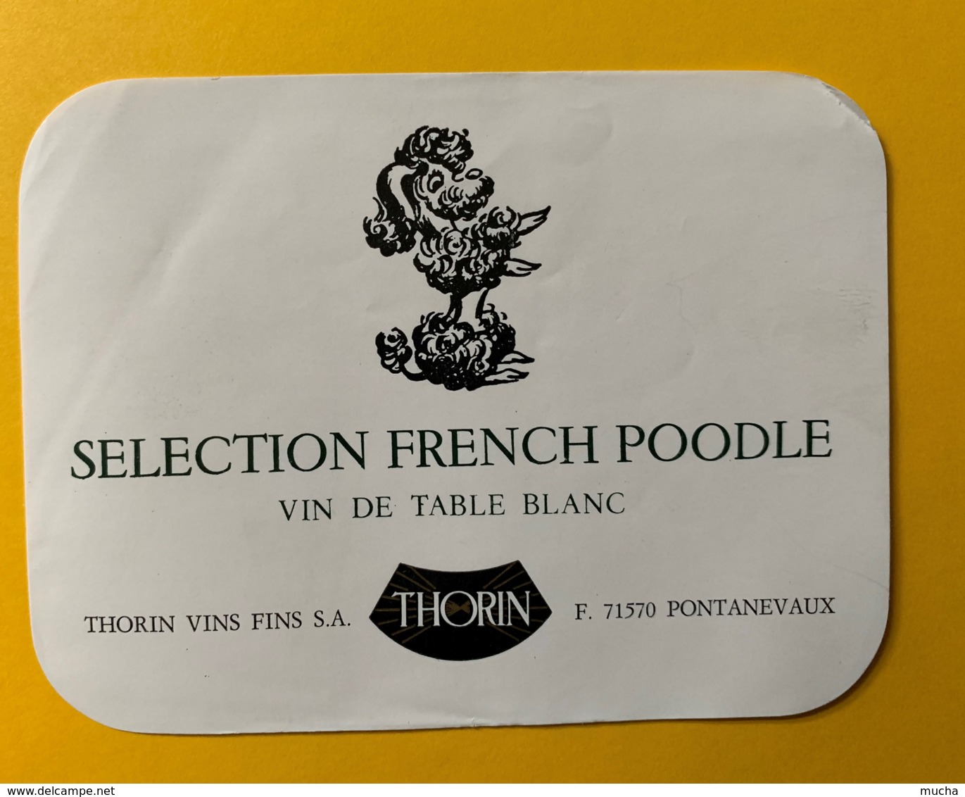 10055 - Sélection French Poodle Thorin - Perros