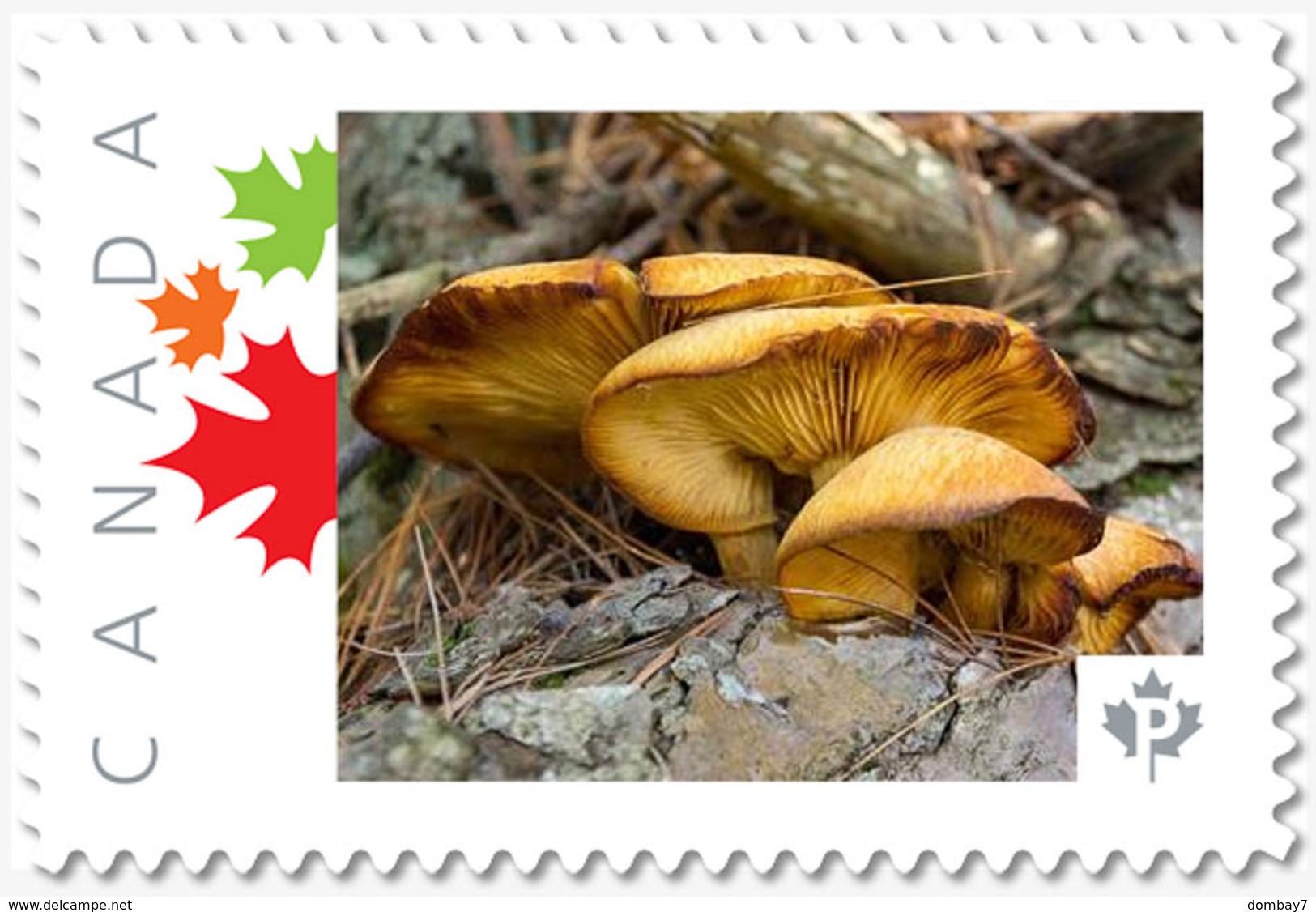 MUSHROOMS = Picture Postage Stamp MNH-VF Canada 2019 [p19-02sn18] - Mushrooms