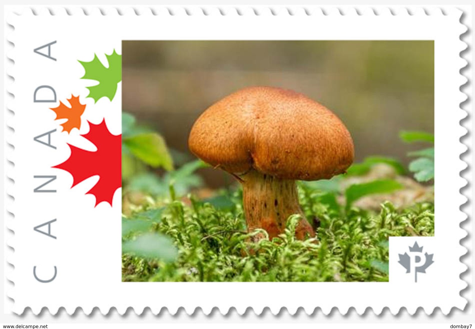 MUSHROOM = BROWN = Picture Postage MNH-VF Canada 2019 [p19-02sn19] - Hongos