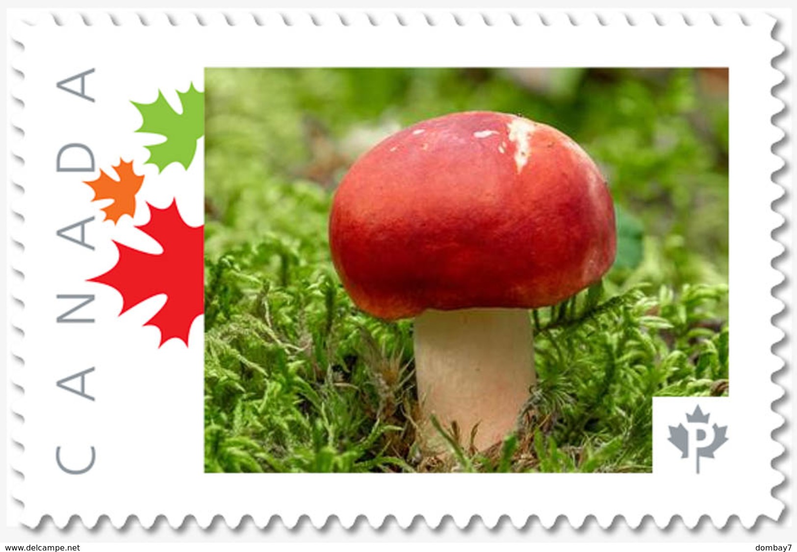MUSHROOM = RED HAT = Picture Postage Stamp MNH-VF Canada 2019 [p19-02sn20] - Mushrooms