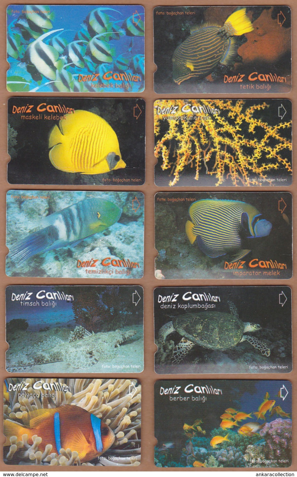 AC - TURK TELECOM PHONECARDS -  SEA CREATURES FULL SET OF 26 CARDS - Puzzles