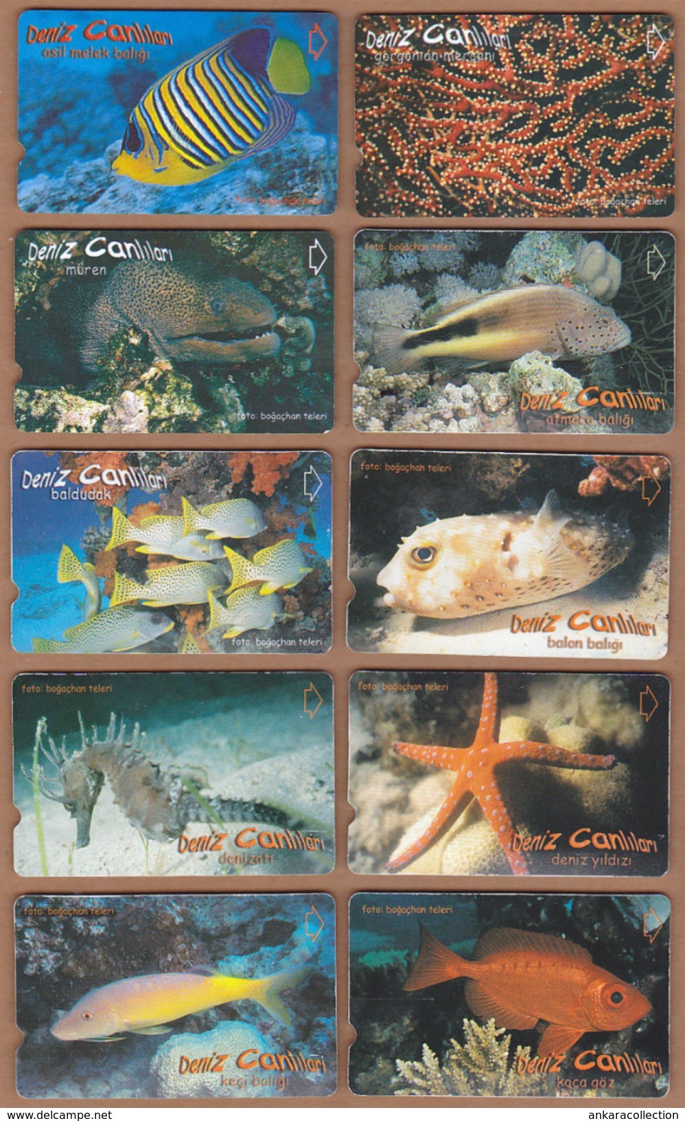 AC - TURK TELECOM PHONECARDS -  SEA CREATURES FULL SET OF 26 CARDS - Puzzles