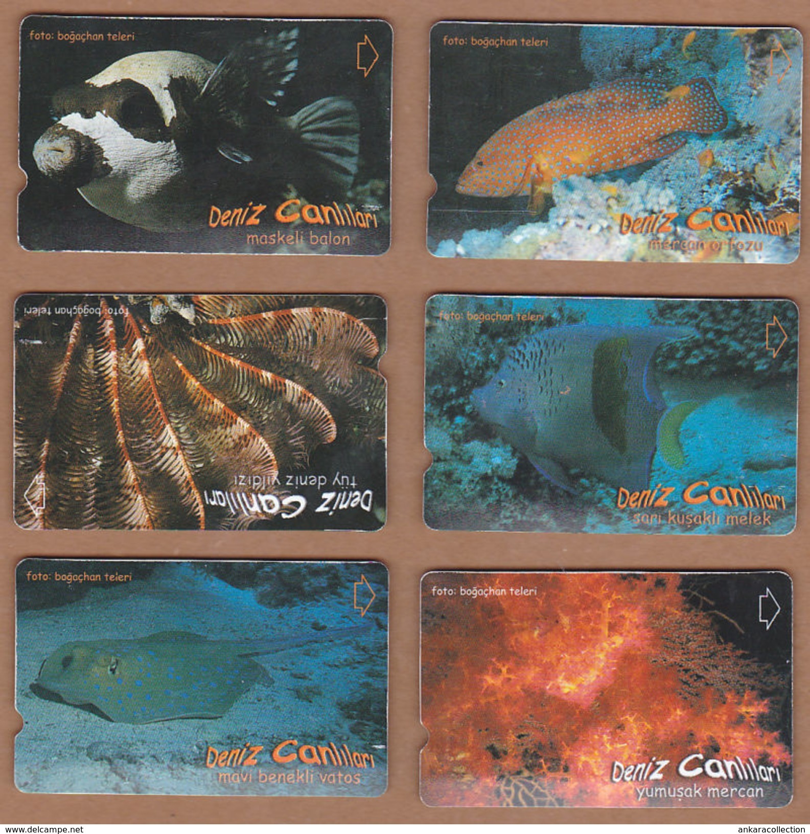 AC - TURK TELECOM PHONECARDS -  SEA CREATURES FULL SET OF 26 CARDS - Puzzles