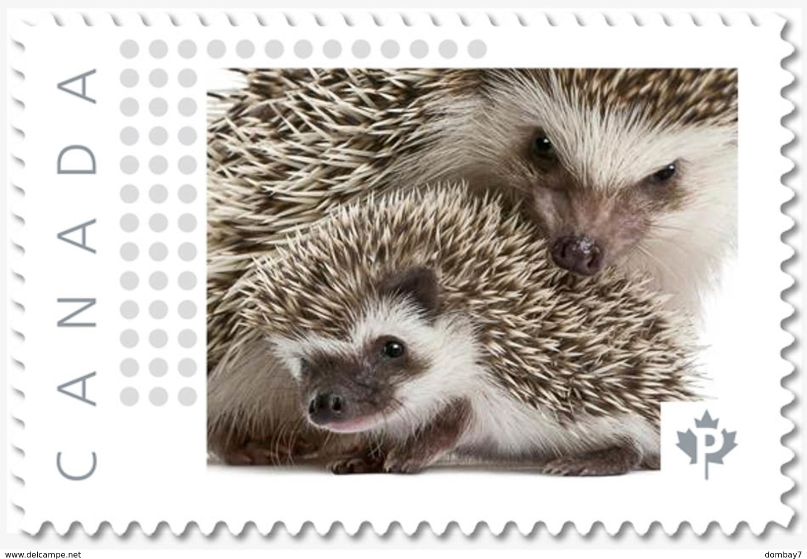 Lq. HEDGEHOG With BABY = Picture Postage MNH-VF Canada 2019 [p19-02sn07] - Rodents