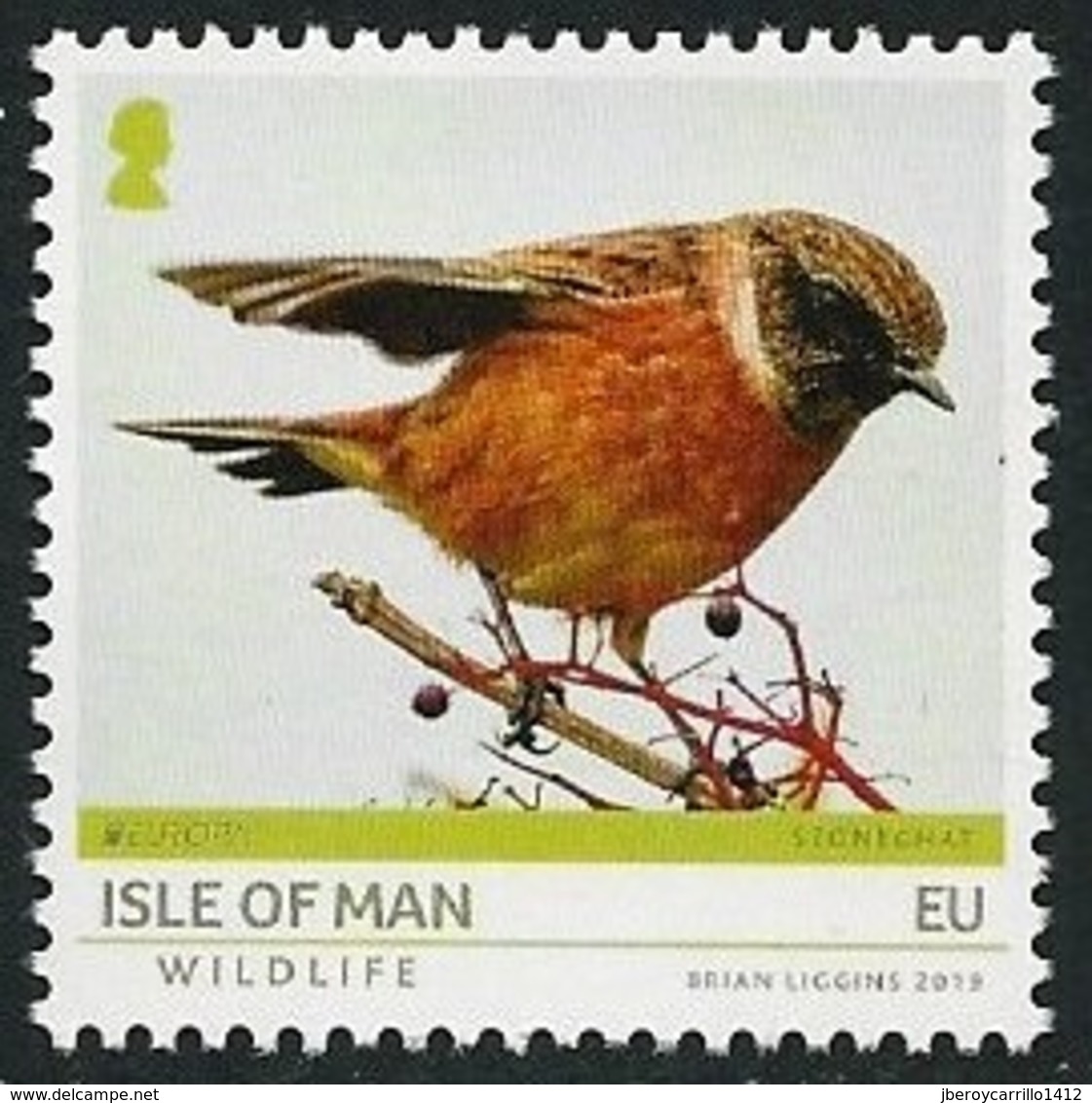 ISLE Of MAN 2019 - EUROPA 2019 - WILDLIFE -"AVES - BIRDS  - VÖGEL - OISEAUX"-  SERIE De 1 TIMBRE - 2019