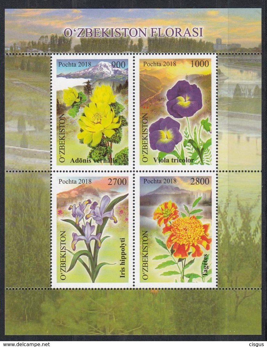 Uzbekistan Usbekistan MNH** 2018 2019 Mountain Flowers  Mi 1331-34 Bl.90 - Ouzbékistan